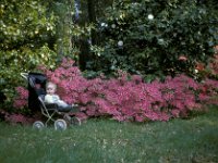 Exbury Gardens New Forest Andy 2